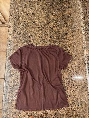 Aerie Slub Cotton Crewneck T-Shirt in Brown